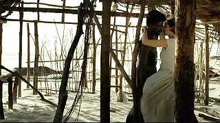 ყელიანი შავგვრემანი  ...